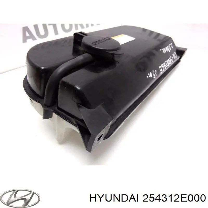 254312E000 Hyundai/Kia бачок