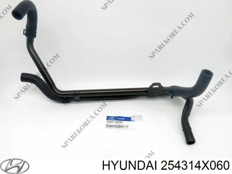 254314X060 Hyundai/Kia