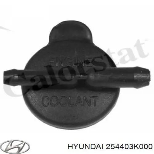  254403K000 Hyundai/Kia