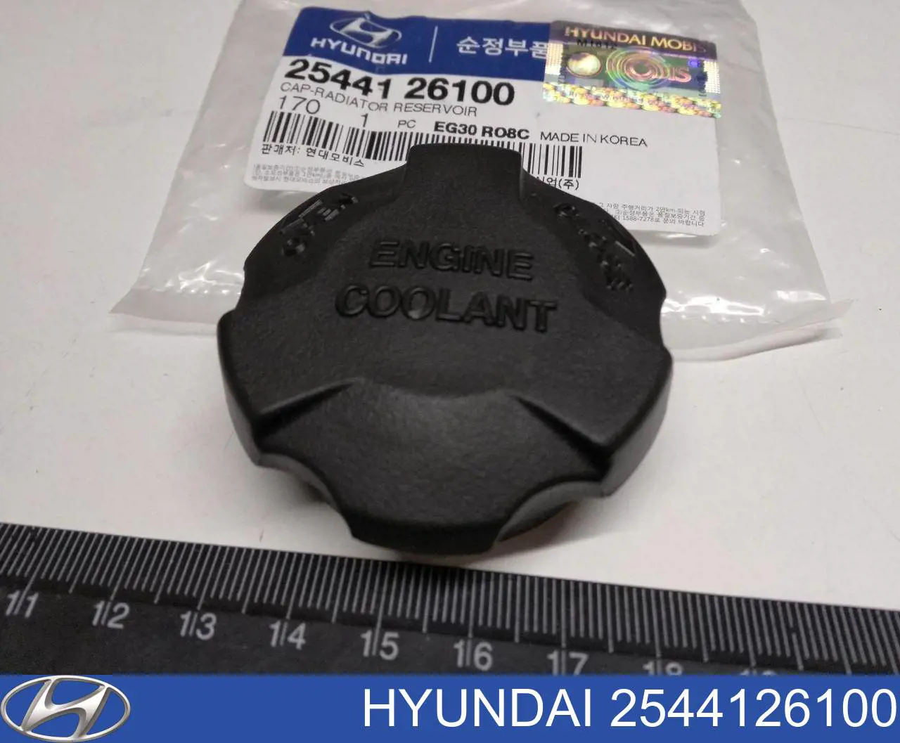2544126100 Hyundai/Kia крышка (пробка расширительного бачка)