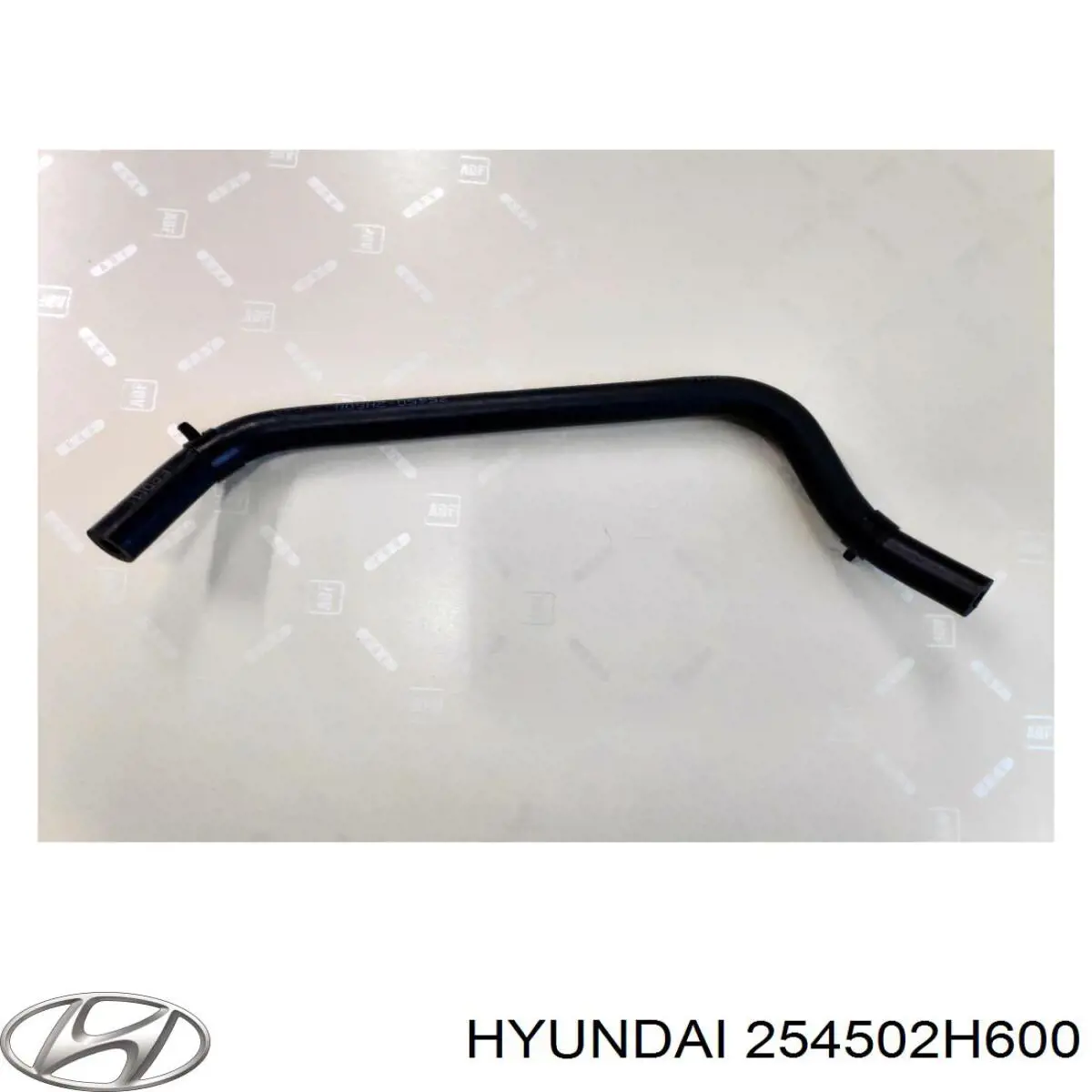  254502H600 Hyundai/Kia