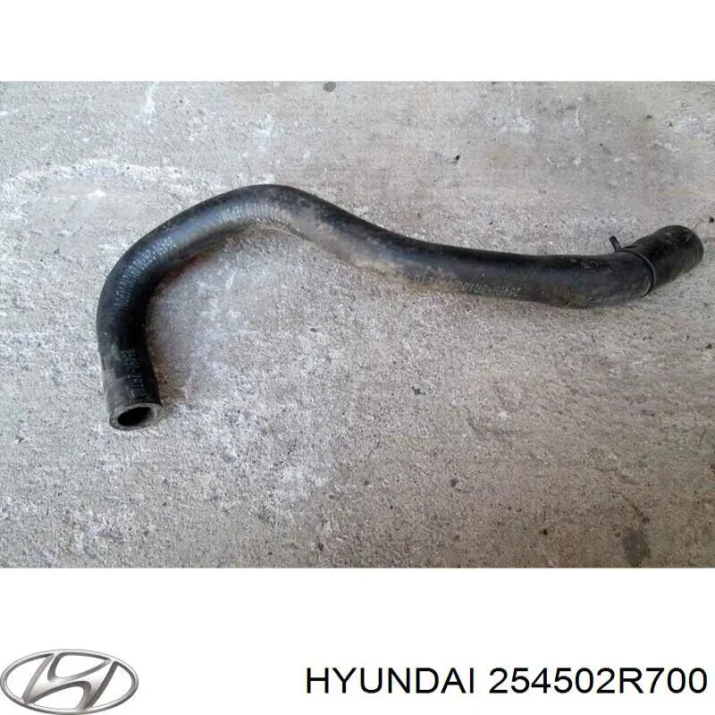 254502R700 Hyundai/Kia 