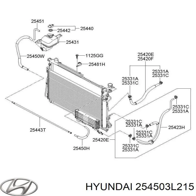  254503L215 Hyundai/Kia