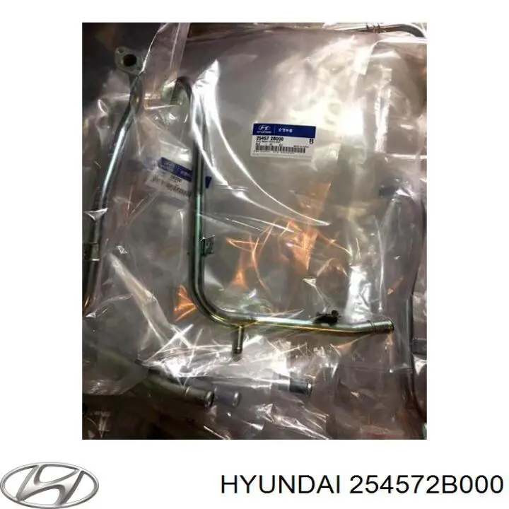 254572B000 Hyundai/Kia 