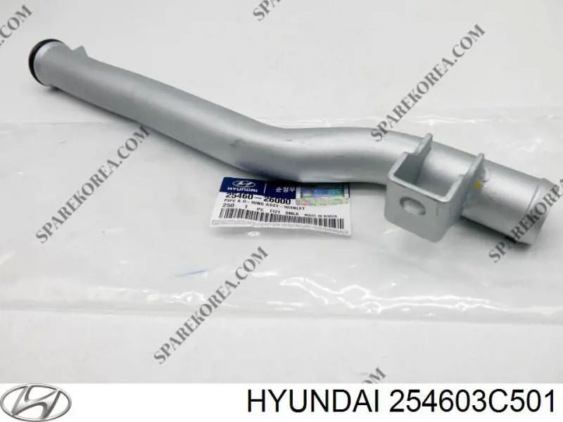  254603C501 Hyundai/Kia