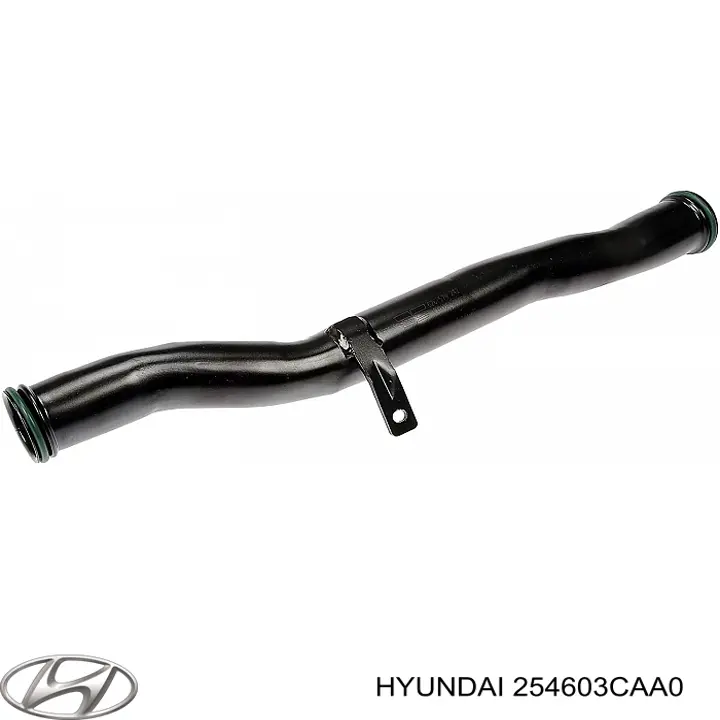  254603CAA0 Hyundai/Kia