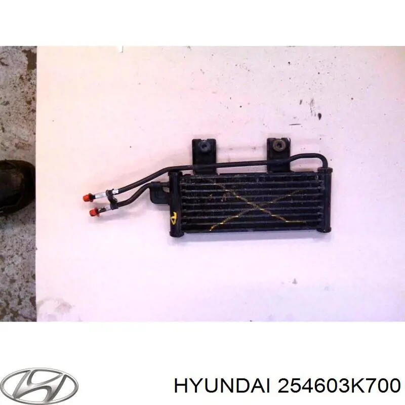  254603K700 Hyundai/Kia