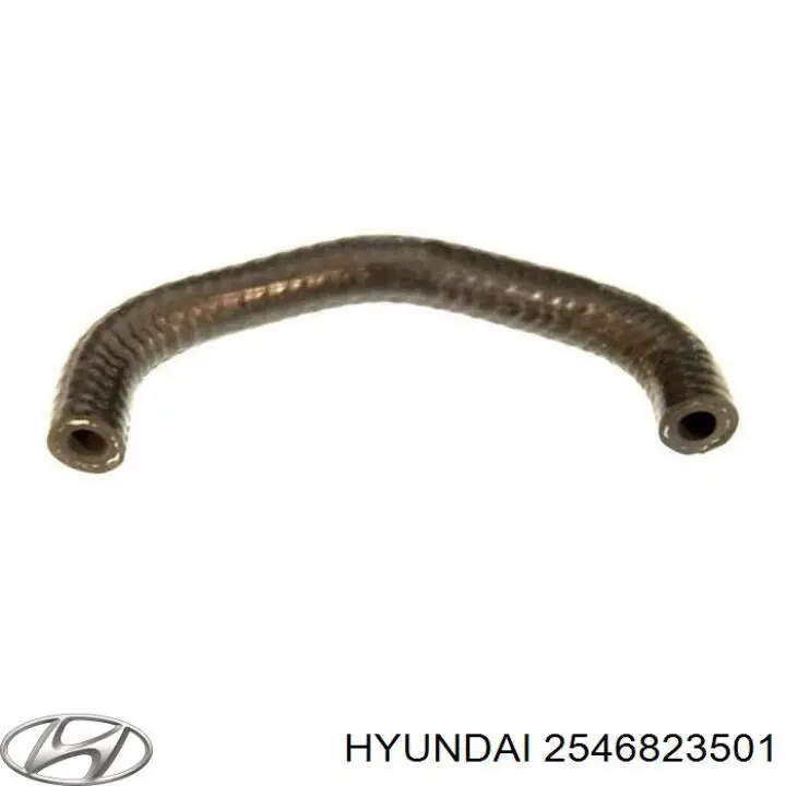 Шланг (патрубок) обогрева дроссельной заслонки Hyundai/Kia 2546823501 цена, от 13.85 USD