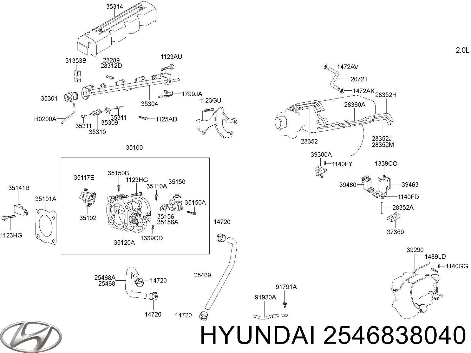 2546838040 Hyundai/Kia 