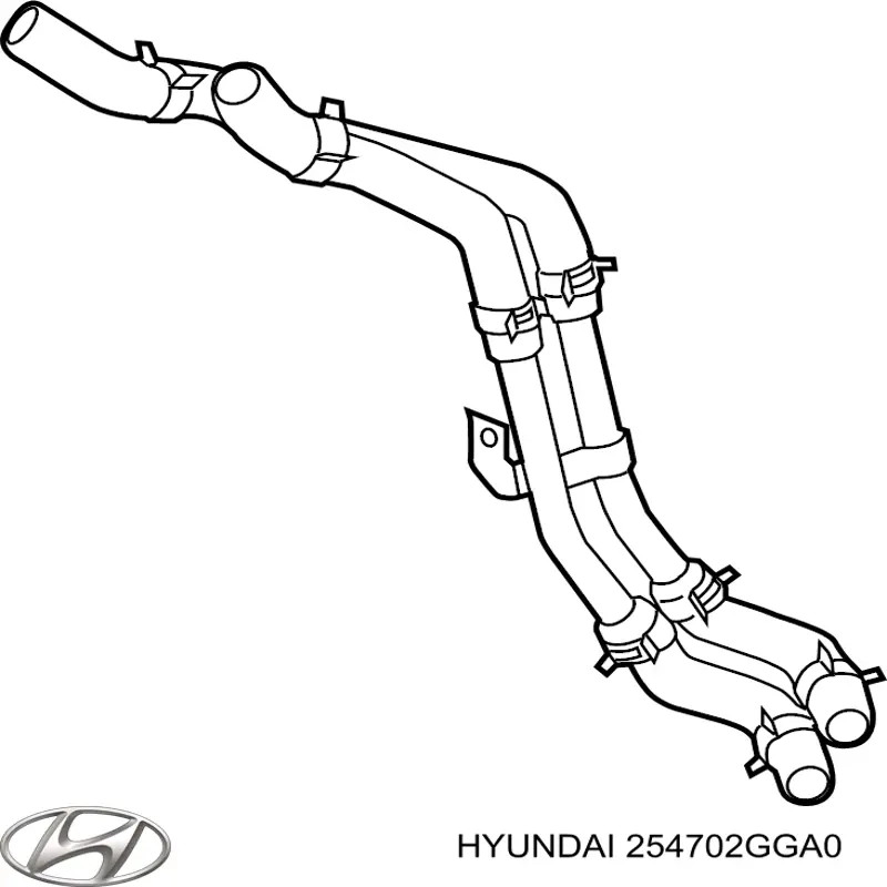 254702GGA0 Hyundai/Kia mangueira (cano derivado do sistema de esfriamento)