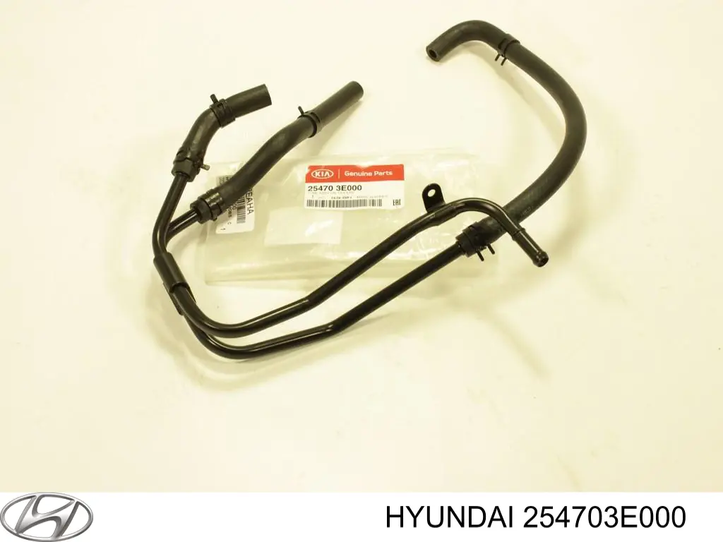  254703E000 Hyundai/Kia