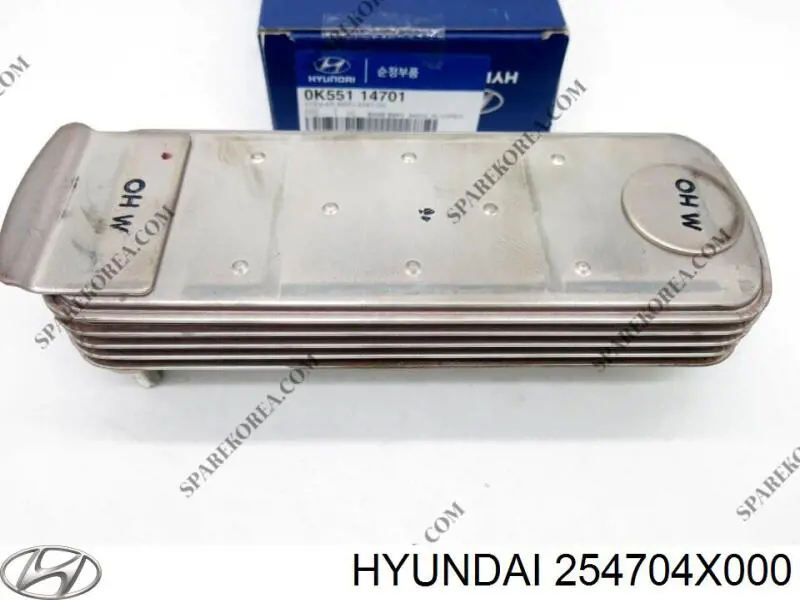  254704X000 Hyundai/Kia