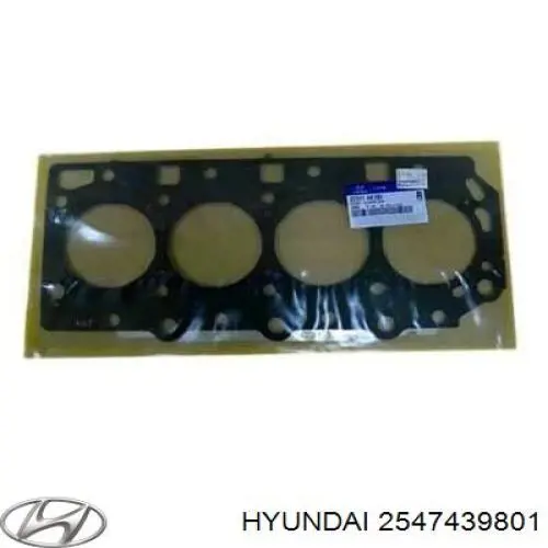  2547439801 Hyundai/Kia