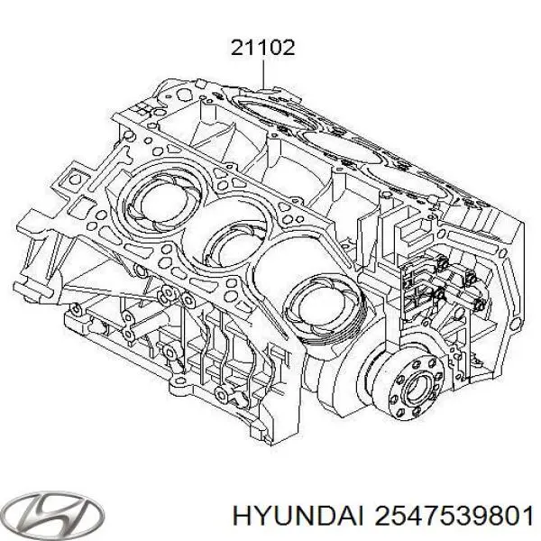 Купить 2547539801 Hyundai/Kia 
