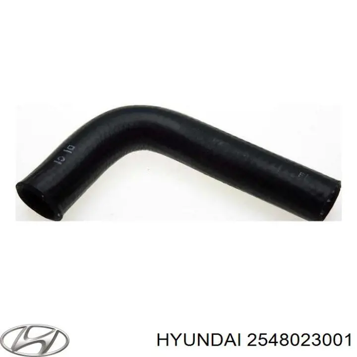 2548023001 Hyundai/Kia