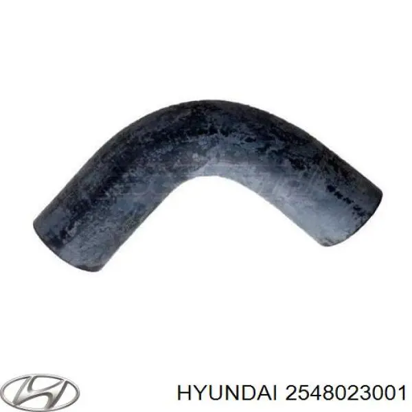 2548023001 HYUNDAI Tubo de refrigeración, termostato original y equivalente