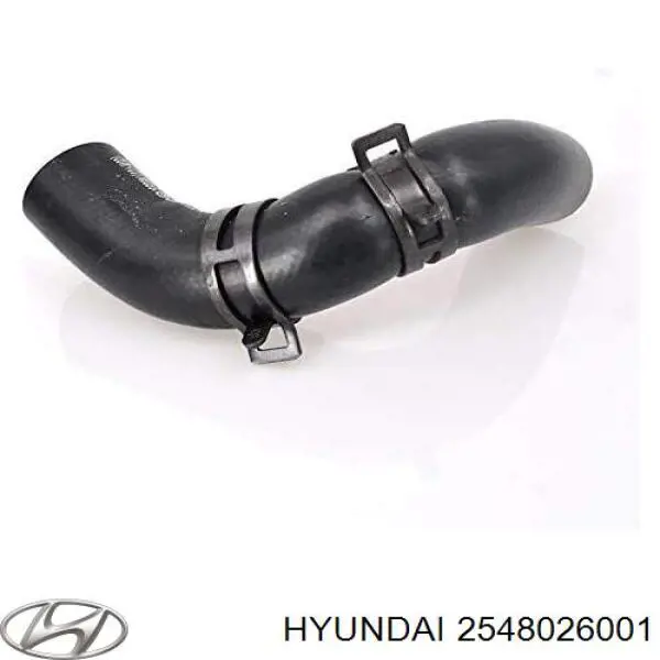 Патрубок системы охлаждения DCC020331 Mando