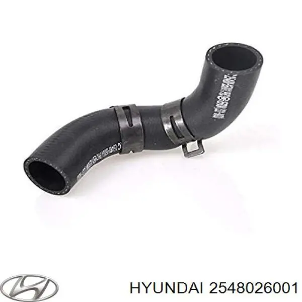 Купить 2548026001 Hyundai/Kia Трубопроводы и шланги системы охлаждения