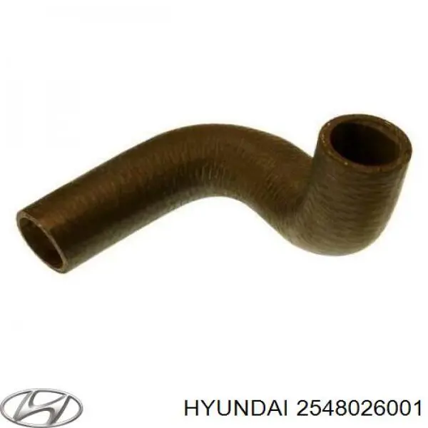 2548026001 Hyundai/Kia шланг (патрубок системы охлаждения)