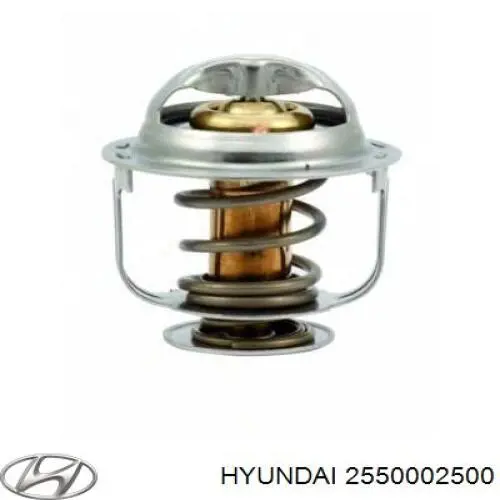 2550002500 Hyundai/Kia termostato