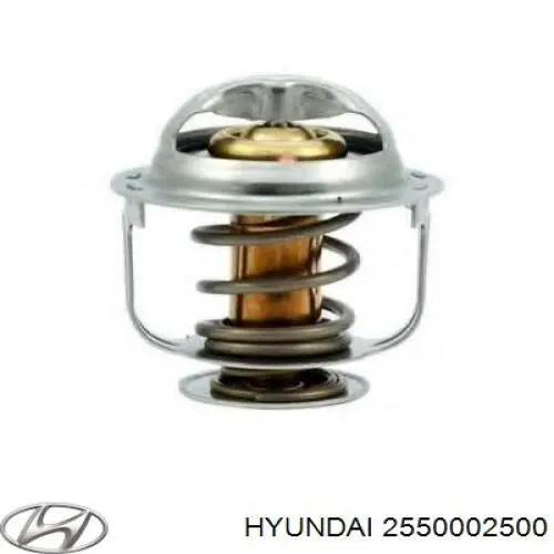 Термостат в корпусе Hyundai/Kia 2550002500 цена, от 11.36 USD