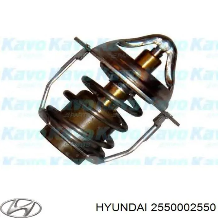 Термостат в сборе Hyundai/Kia 2550002550