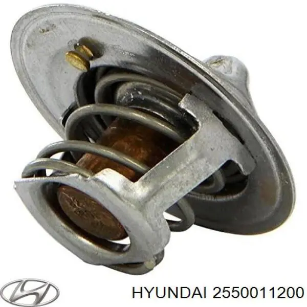Термостат в сборе Hyundai/Kia 2550011200