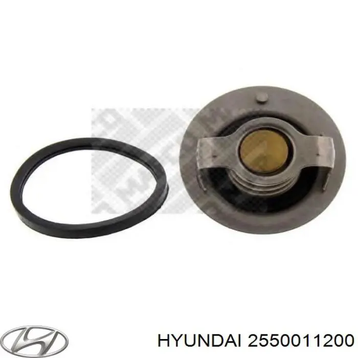 2550011200 Hyundai/Kia термостат