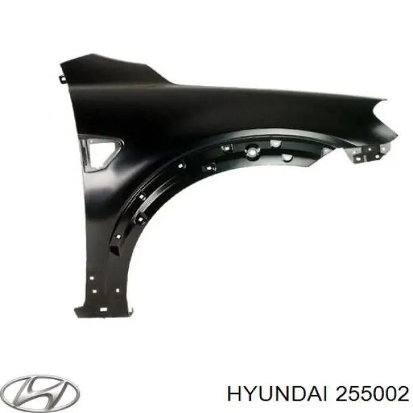 255002 Hyundai/Kia термостат