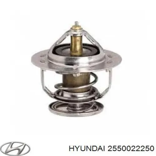 2550022250 Hyundai/Kia термостат
