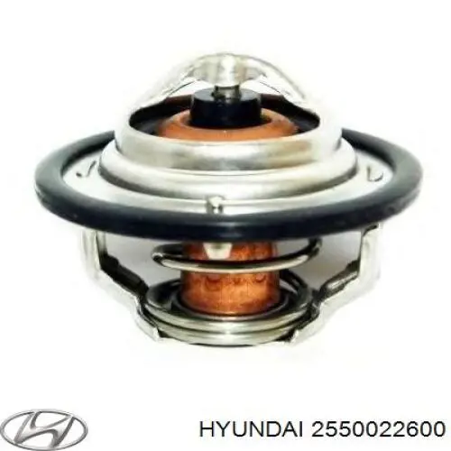 2550022600 Hyundai/Kia термостат