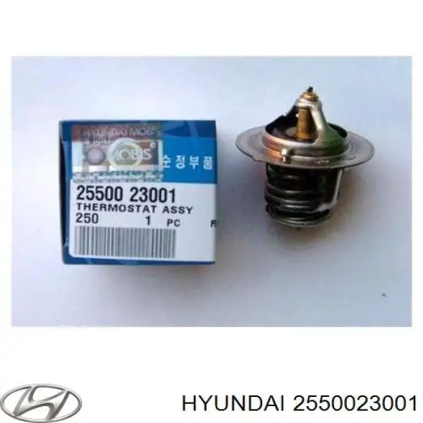 2550023001 Hyundai/Kia термостат
