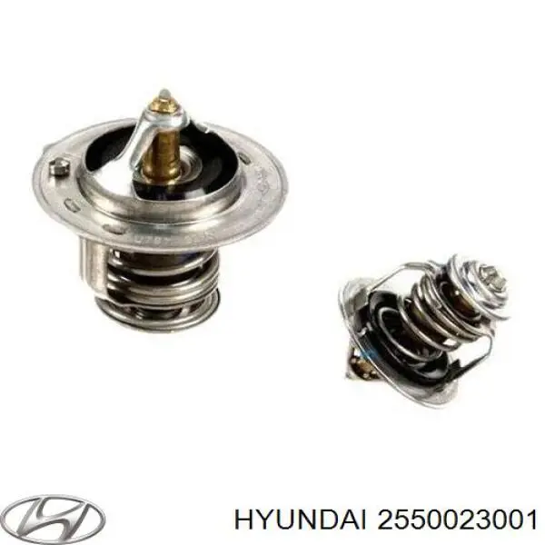 Termostato, refrigerante 2550023001 Hyundai/Kia