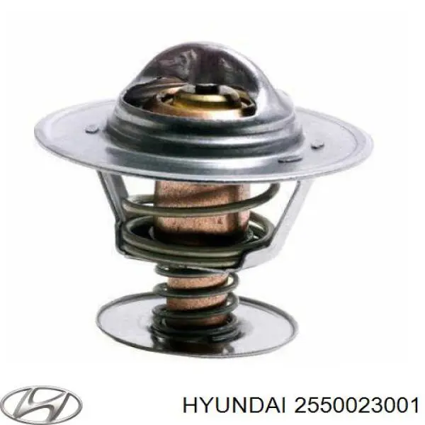 Купить 2550023001 Hyundai/Kia Автомобильный термостат