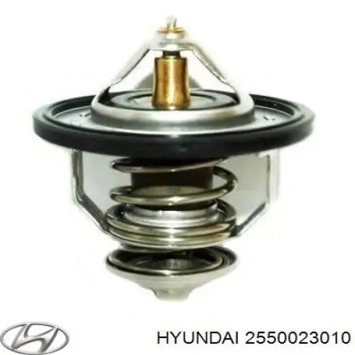 2550023010 Hyundai/Kia termostato