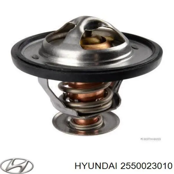 2550023010 Hyundai/Kia Termostato