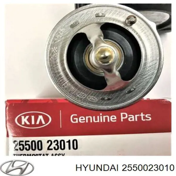 Termostato, refrigerante 2550023010 Hyundai/Kia