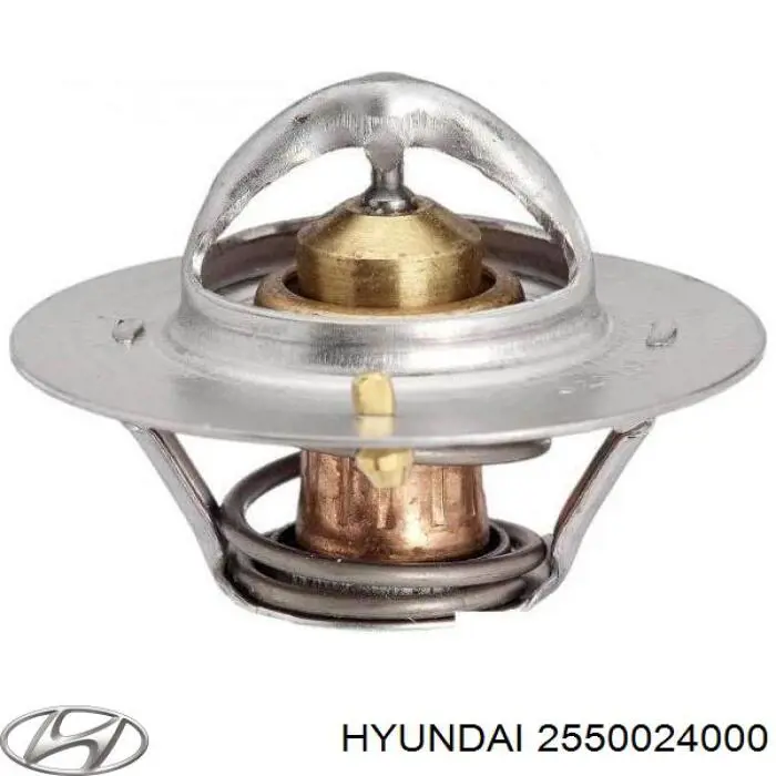 2550024000 Hyundai/Kia термостат