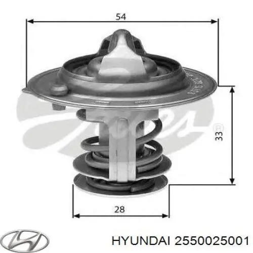 Termostato Hyundai/Kia 2550025001