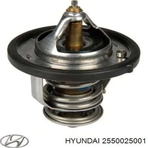 2550025001 Hyundai/Kia termostato
