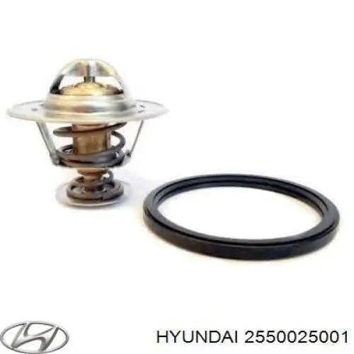 Termostato, refrigerante 2550025001 Hyundai/Kia