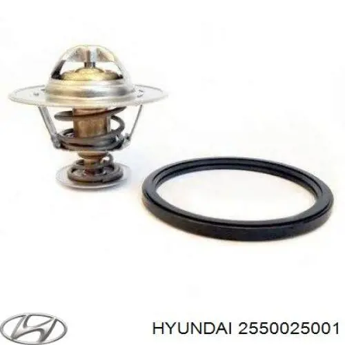 2550025001 Hyundai/Kia Termostato