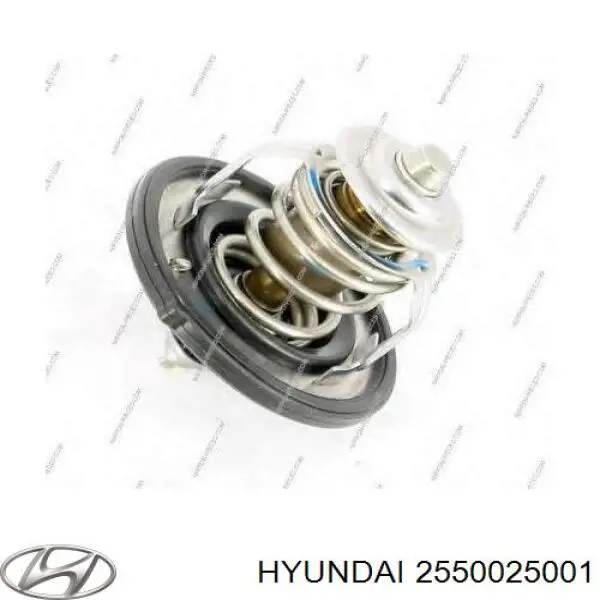 Compre 2550025001 Hyundai/Kia Termostato
