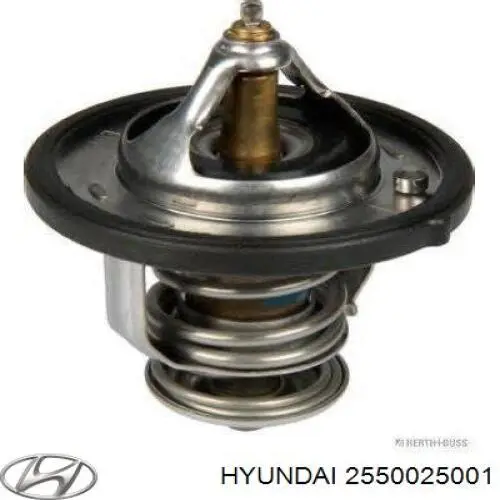 Termostato 2550025001 Hyundai/Kia