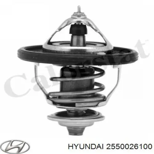 2550026100 Hyundai/Kia Авто термостат