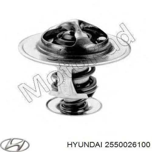 Термостат в сборе Hyundai/Kia 2550026100