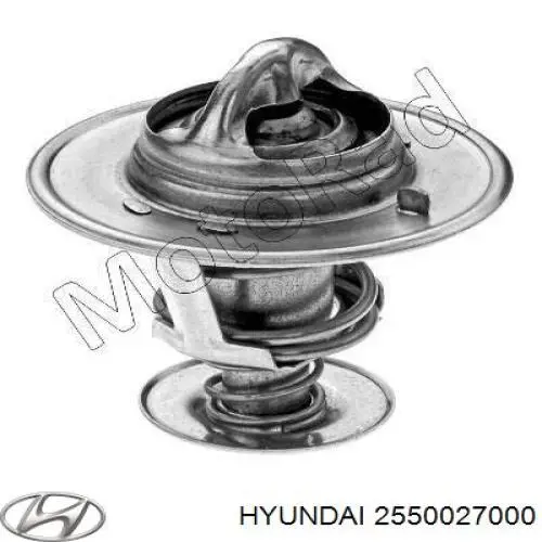 Купить 2550027000 Hyundai/Kia Автомобильный термостат