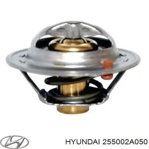 255002A050 Hyundai/Kia termostato