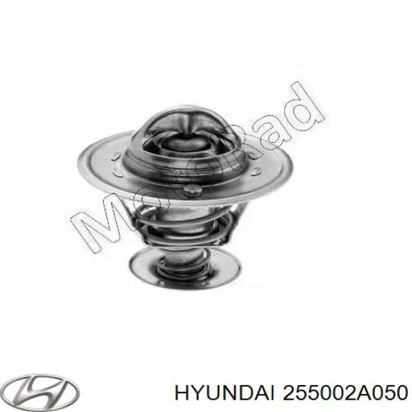 255002A050 Hyundai/Kia