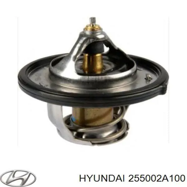 255002A100 Hyundai/Kia термостат